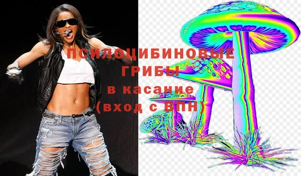 мет Вяземский